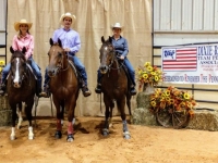 2018 DRTPA Finals - 100 Ride Penning Club - 1st Place