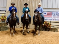 2018 DRTPA Finals - # 3 Team Penning - 1st Place