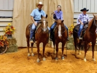 2018 DRTPA Finals - Jr Youth Team Penning - 2nd Place
